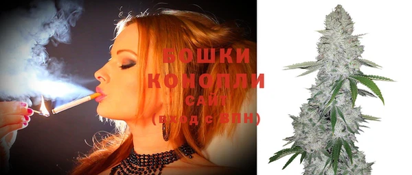 мдпв Елабуга