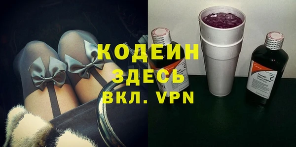 мдпв Елабуга