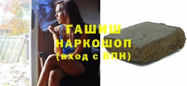 молекула духа Ельня