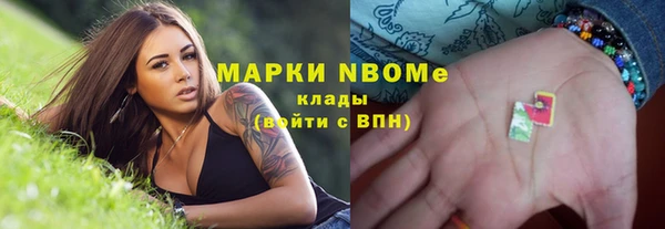 молекула духа Ельня