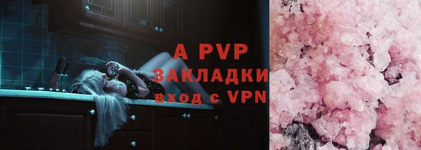 молекула духа Ельня