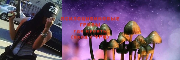 мдпв Елабуга