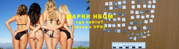 мдпв Елабуга