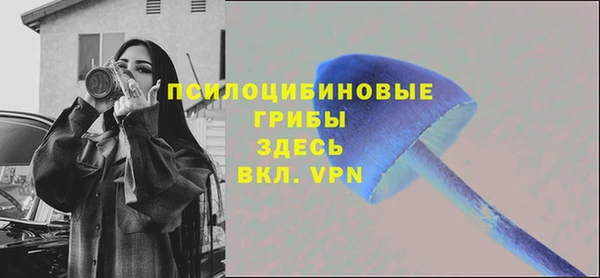 мдпв Елабуга