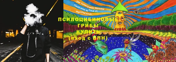 молекула духа Ельня