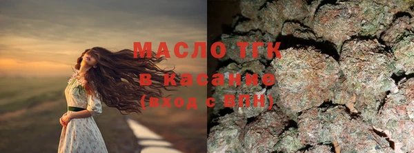 мдпв Елабуга