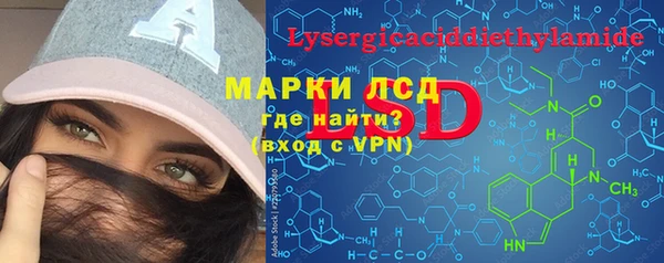 мдпв Елабуга