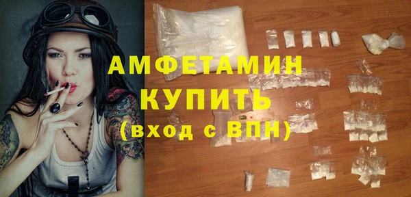 молекула духа Ельня