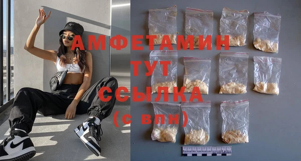 мдпв Елабуга