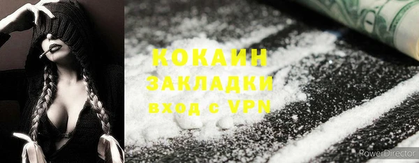 мдпв Елабуга