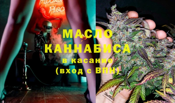 мдпв Елабуга