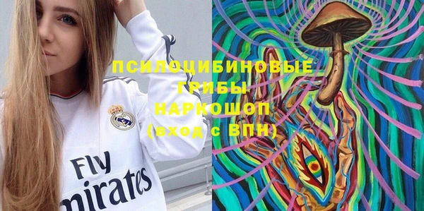 мдпв Елабуга