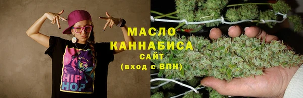 мдпв Елабуга